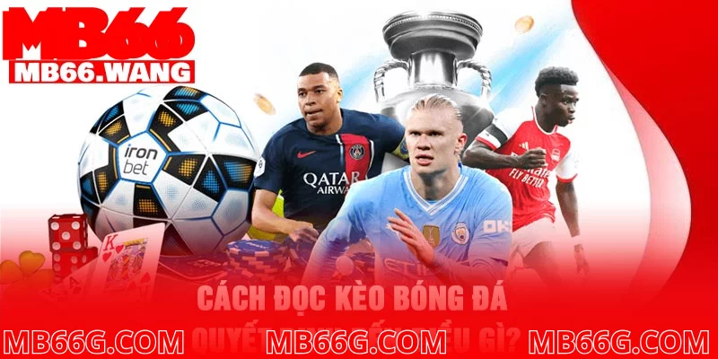 Cách đọc kèo bóng đá quyết định đến điều gì? Cách đọc kèo bóng đá quyết định đến điều gì?