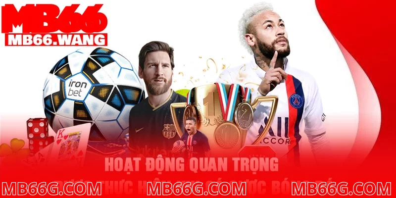 Hoạt động quan trọng được thực hiện khi cá cược bóng đá Hoạt động quan trọng được thực hiện khi cá cược bóng đá