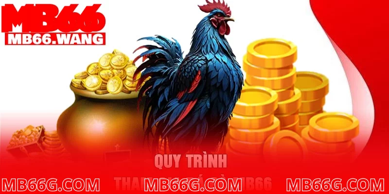 Quy trình tham gia đá gà MB66