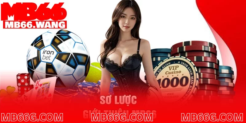 Sơ lược giới thiệu MB66