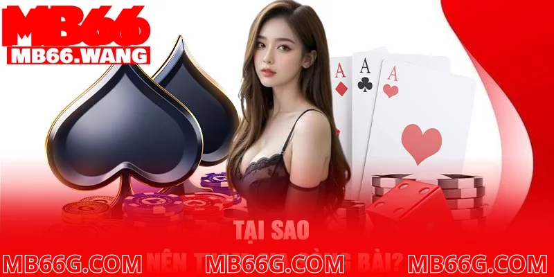 Tại sao nên tham gia sòng bài? Tại sao nên tham gia sòng bài?