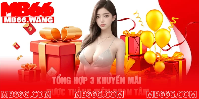 Tổng hợp 3 khuyến mãi được thành viên quan tâm