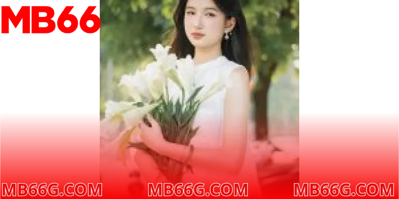 MB66 | Nền tảng cá cược trực tuyến | Đăng ký tặng 66K